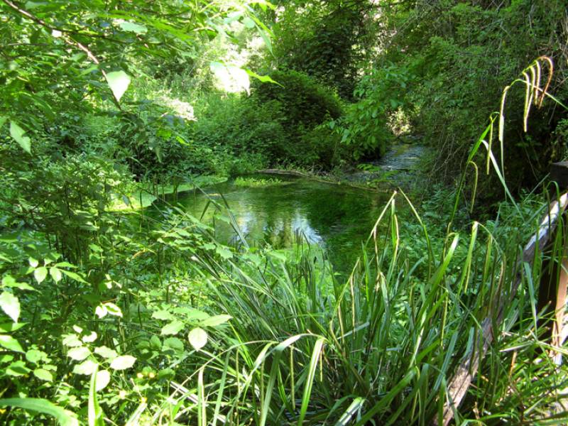 Parco: I capolavori della natura italiana in festa: RiservAmica 2018