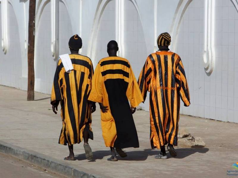Parco: Appunti di viaggio in Senegal, porta dell’Africa Nera. Di Stanislao de Marsanich 