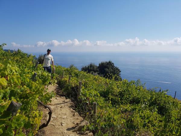 Parco: I percorsi naturalistico letterari del Parco Letterario Eugenio Montale e delle Cinque Terre - 2021