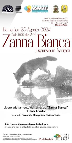 Parco: Zanna Bianca nel Parco d'Abruzzo