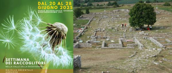Parco: Settimana dei Raccoglitori di erbe spontanee a Iuvaum